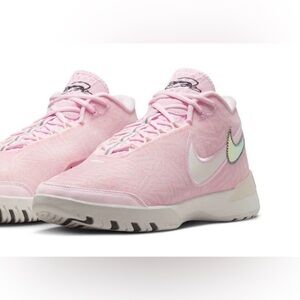 Nike Zoom LeBron NXXT Genisus EP 'Pink Sail' HF0711-602
